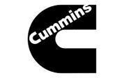 Vaga Cummins